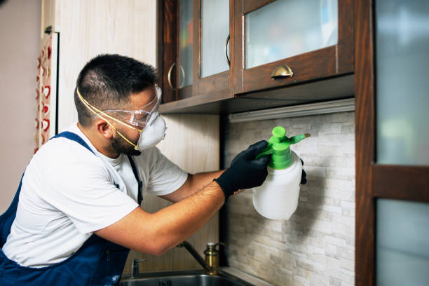 Best Residential Pest Control  in Pine Ridge, SC