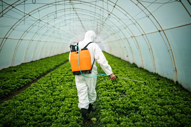 Best Mosquito Control Services  in Pine Ridge, SC