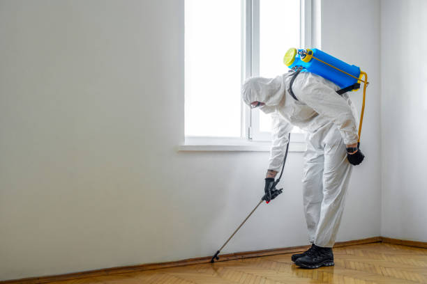 Best Affordable Pest Control Services  in Pine Ridge, SC